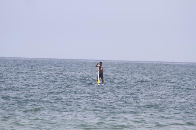 Bruno Gagliasso E Giovanna Ewbank Fazem Stand Up Paddle Na Praia