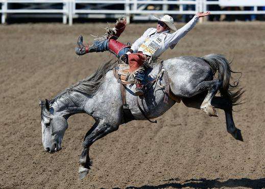 Todd Krol/Reuters Todd Krol/Reuters