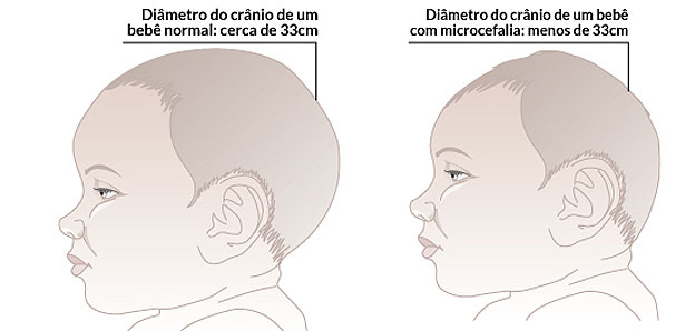 Arte: EM / D.A Press Arte: EM / D.A Press