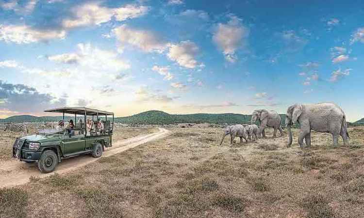 Divulgação/South African Tourism Divulgação/South African Tourism