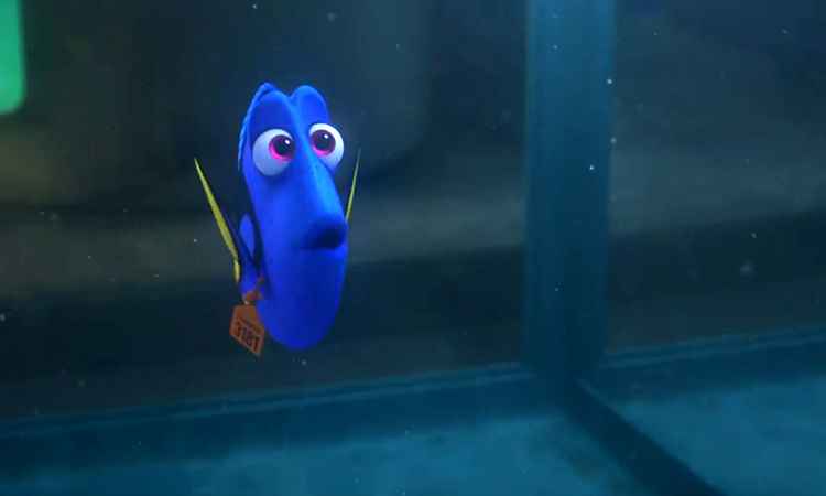 Disney-Pixar/Divulgação Disney-Pixar/Divulgação