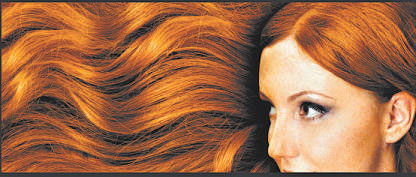 DEPOSITPHOTOS/REPRODUÇÃO DA INTERNET DEPOSITPHOTOS/REPRODUÇÃO DA INTERNET