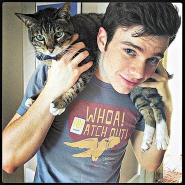 Chris Colfer, estrela do seriado  Glee, adotou seu gato Brian em um abrigo de animais em 2012. O pet tinha 8 anos e estava acima do peso. Chris aproveitou a ocasio para incentivar a adoo no Twitter.