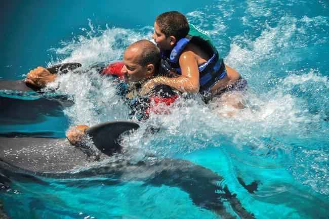 Cuba: Javier Gonzlez, um menino de 10 anos que, por causa de uma paralisia cerebral, apenas ouve e enxerga, costuma brincar semanalmente com os golfinhos Xinana e Coral, personagens centrais de um tratamento que melhorou a qualidade de vida do menor.
