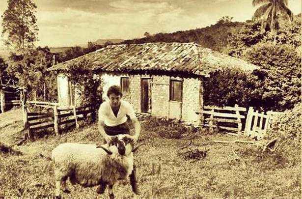 Instagram / Reprodu��o