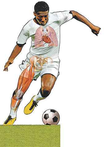 Jogar futebol faz bem para o coração e melhora saúde de diabéticos