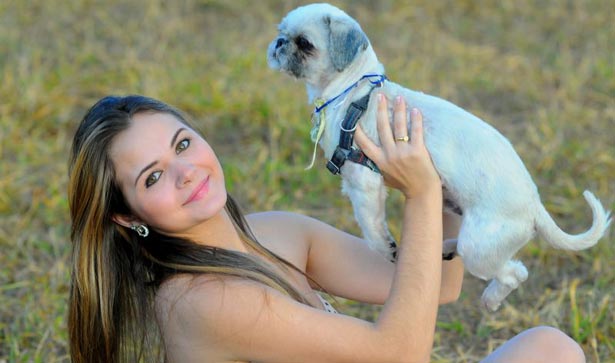 Banho em pet shops é cômodo, mas também envolve riscos - Uai Saúde