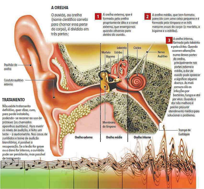 8 Causas de dores no ouvida uqe não tem origem no ouvido.