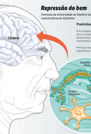 Entenda a pesquisa que pode trazer avanços na prevenção e tratamento do Alzheimer