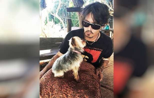 Amber Heard irá a julgamento por levar cachorros de Johnny Depp à Austrália
