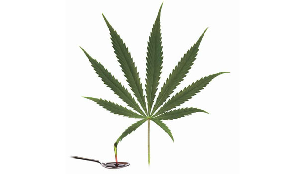 Anandamida: conheça a cannabis do cerebro e como ela atua