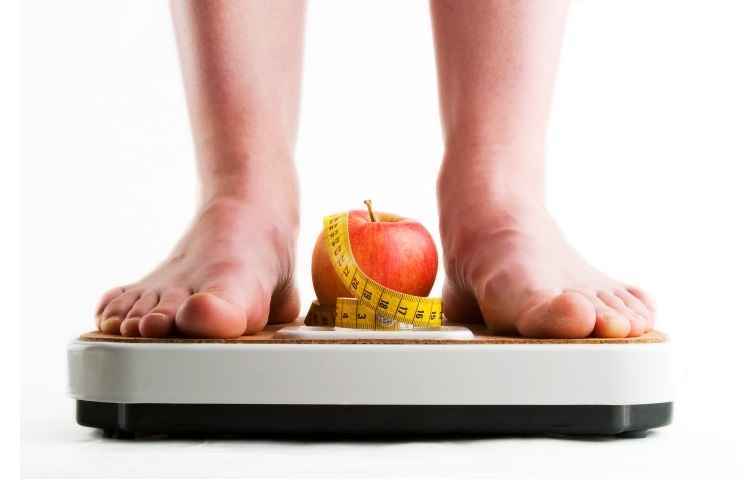 Blog - Dietas para perder peso rápido funcionam?