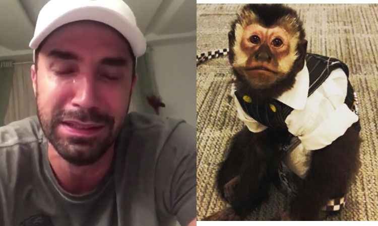 Latino e esposa levam macaco para aniversário do filho de amigos, Divirta-se mais