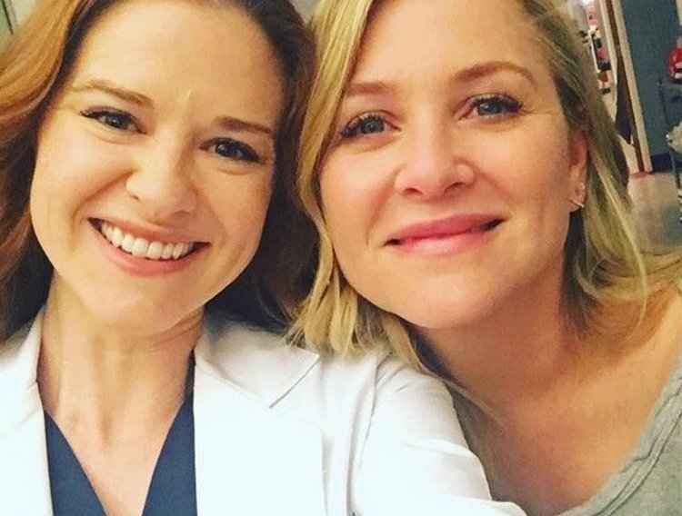 sarah drew vai volta para greys anatomy