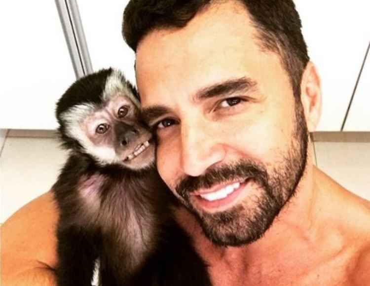 Campanha De Macacos Fofos Para Amar Seu Animal De Estimação