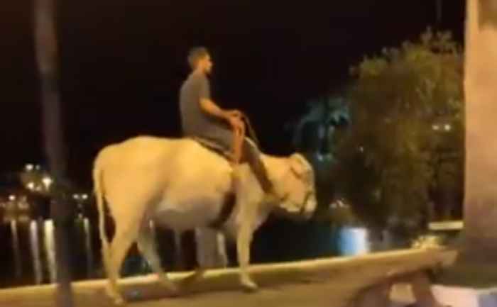 VÍDEO: homem é flagrado dando cerveja a cavalo no interior de MG, Centro-Oeste